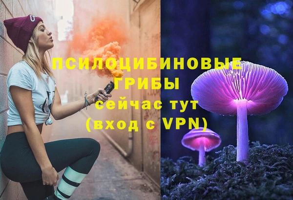 ПСИЛОЦИБИНОВЫЕ ГРИБЫ Абинск