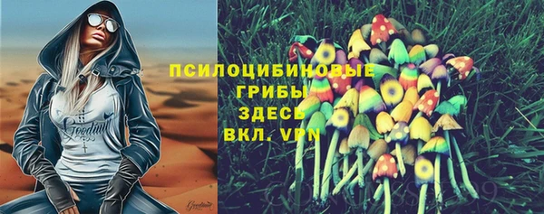 ПСИЛОЦИБИНОВЫЕ ГРИБЫ Абинск
