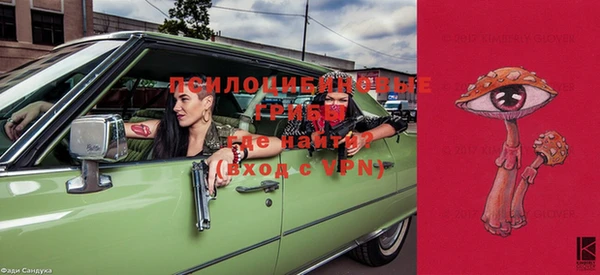 ПСИЛОЦИБИНОВЫЕ ГРИБЫ Абинск