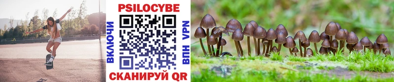 МЕГА маркетплейс  мориарти Telegram  Галлюциногенные грибы Psilocybine cubensis  Южа 